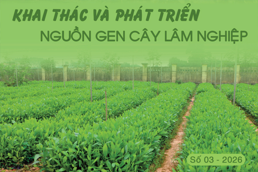 Bản tin Chuyên đề công trình nghiên cứu khoa học và công nghệ số 03 năm 2026